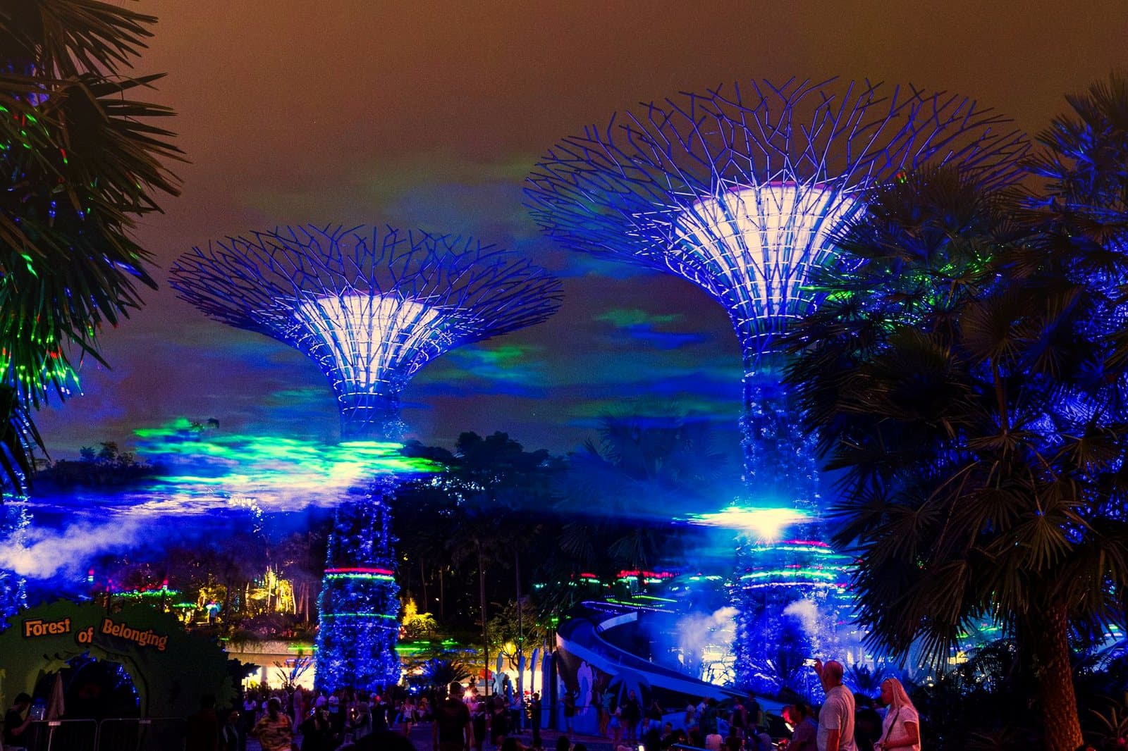 Illuminated Supertree Grove at Gardens by the Bay in Singapore, capturing vibrant lights and serene night atmosphere.